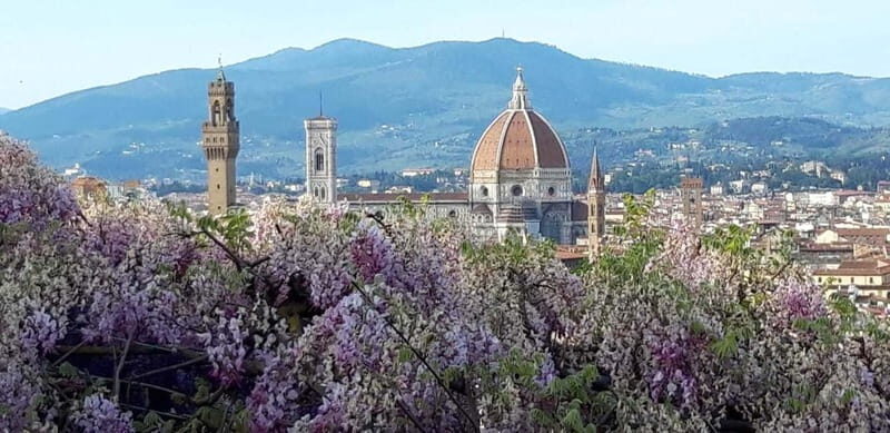 Florence: Brunelleschis Dome & Cathedral Guided Tour - An In-Depth Look at the Tour Itself