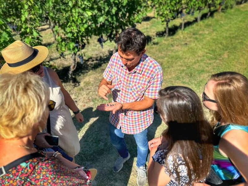 Florence: Brunello Wine Tour with Lunch at the Winery - What Makes This Tour Stand Out