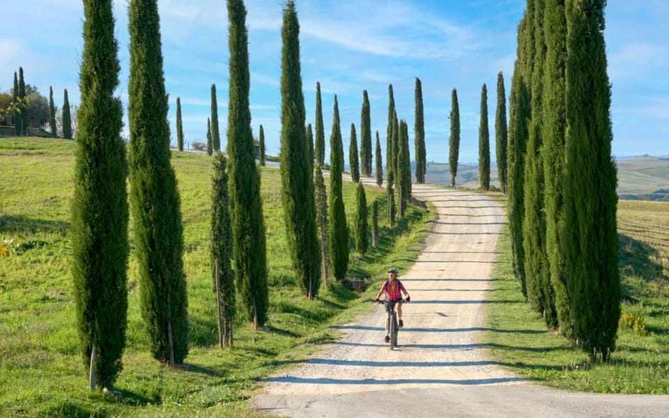 Florence: Chianti E-Bike Tour With Lunch & Two Wine Tastings - Key Points