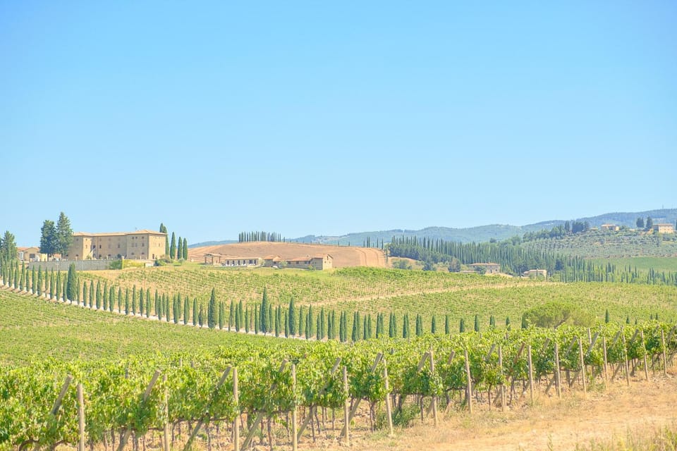 Florence: Chianti E-Bike Tour With Lunch & Two Wine Tastings - Tour Highlights