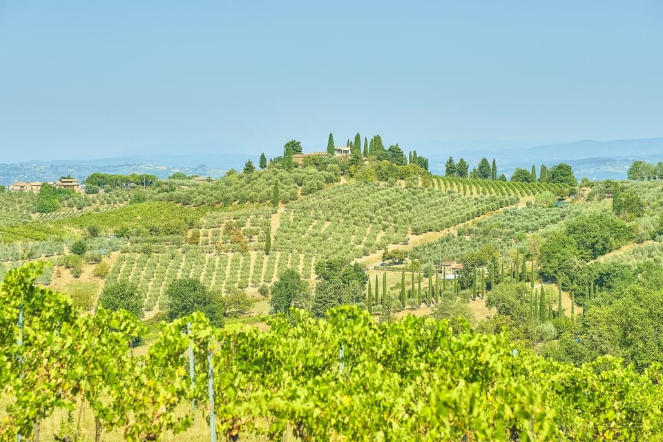Florence: Chianti E-Bike Tour With Lunch & Two Wine Tastings - Participant Requirements and Recommendations