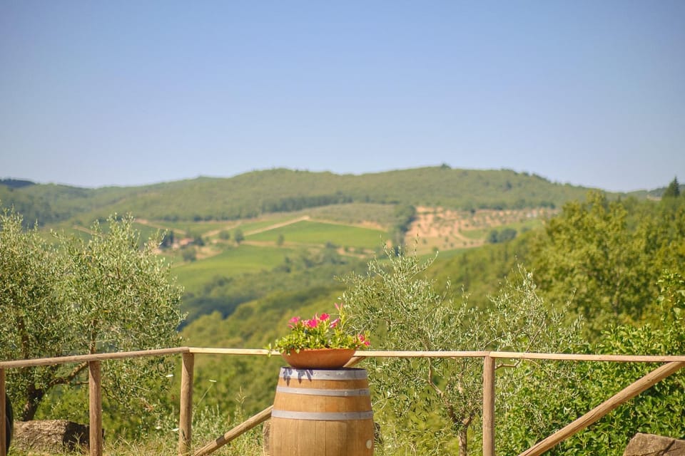 Florence: Chianti E-Bike Tour With Lunch & Two Wine Tastings - Making the Most of Your E-Bike Adventure