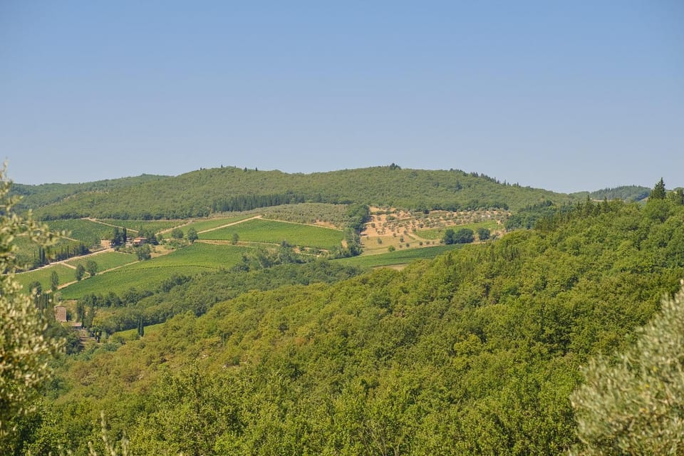 Florence: Chianti E-Bike Tour With Lunch & Two Wine Tastings - Ask Away