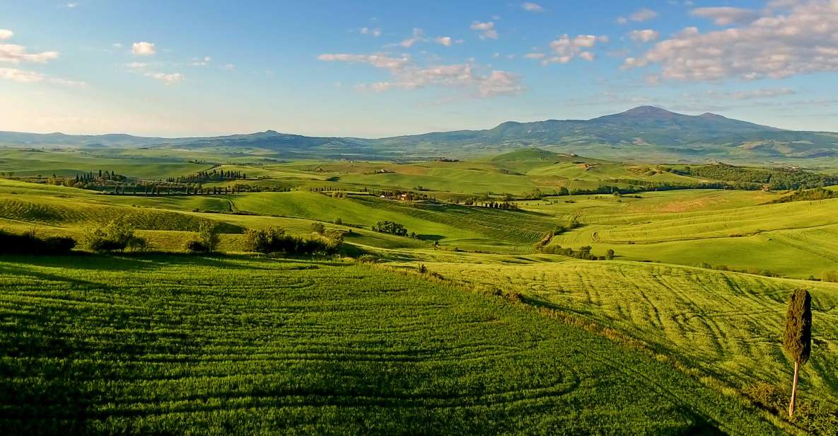 Florence: Chianti, Montalcino & Montepulciano Private Tour - Key Points