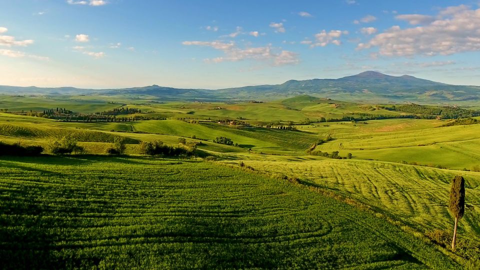 Florence: Chianti, Montalcino & Montepulciano Private Tour - Wine and Olive Oil Tasting