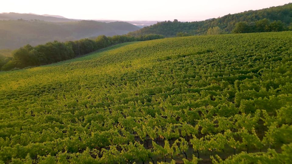 Florence: Chianti, Montalcino & Montepulciano Private Tour - Additional Information