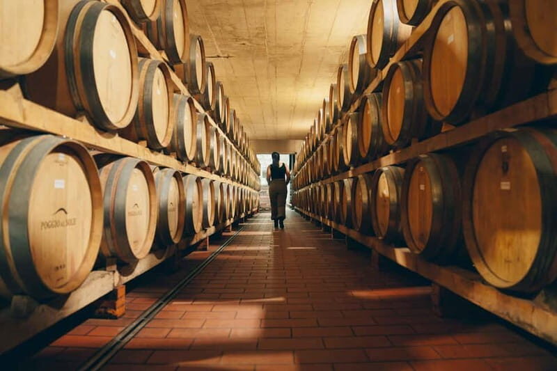Florence: Chianti Secrets Wineries Tour With Lunch - Who Would Enjoy This Tour?