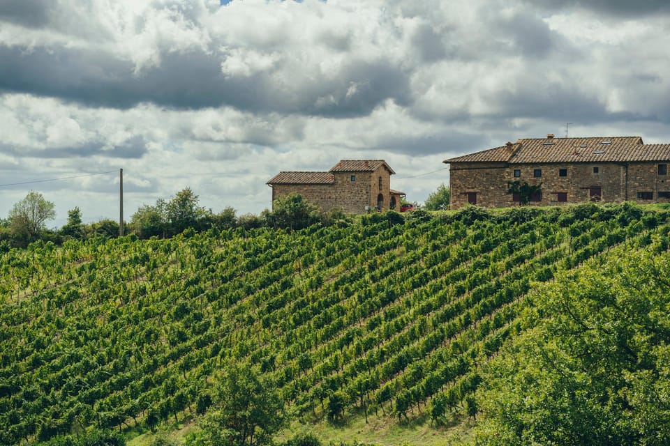 Florence: Chianti Secrets Wineries Tour With Lunch - An Authentic Taste of Tuscany: What to Expect