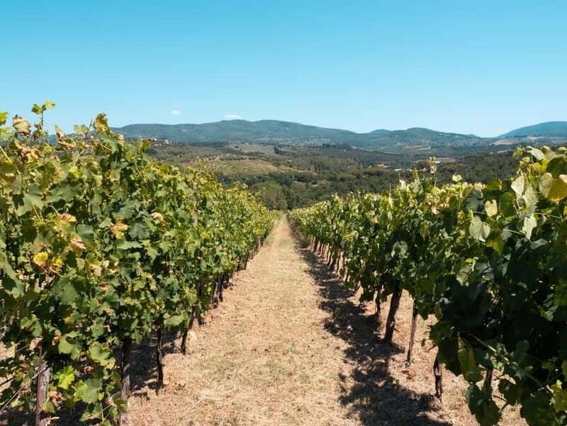 Florence: Chianti Tuscany Winery Tasting & Lunch - A Genuine Taste of Tuscany’s Winemaking Heritage