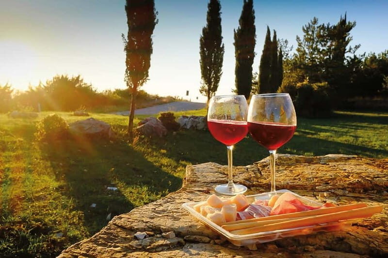 Florence: Chianti Vineyards Tour with Wine Tasting & Dinner - Who Should Consider This Tour?