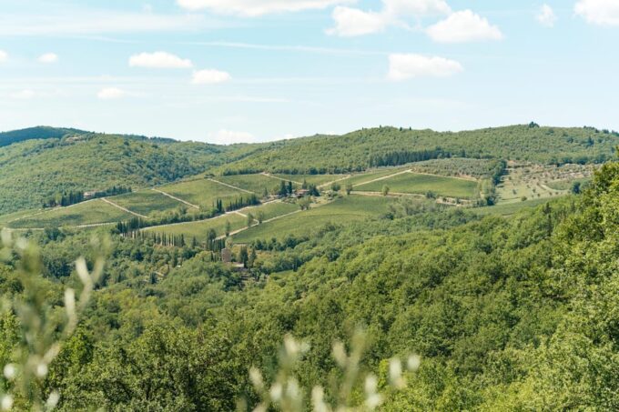 Florence: Chianti Wineries Tour With Food and Wine Tasting - Local Wineries to Explore