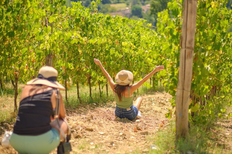 Florence: Chianti Wineries Tour With Food and Wine Tasting - Itinerary Details