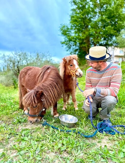 Florence: Countryside Tour with Wine Tasting & Pasta Class - Final Thoughts