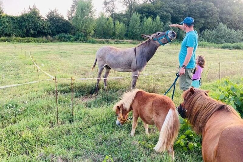 Florence: Countryside Tour with Wine Tasting & Pasta Class - FAQ