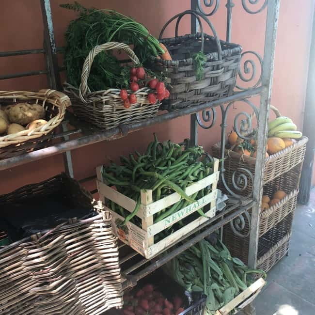 Florence: Culinary Experience in a Lemon House with Sunset and Enchanted Garden - The Quality and Value of the Experience