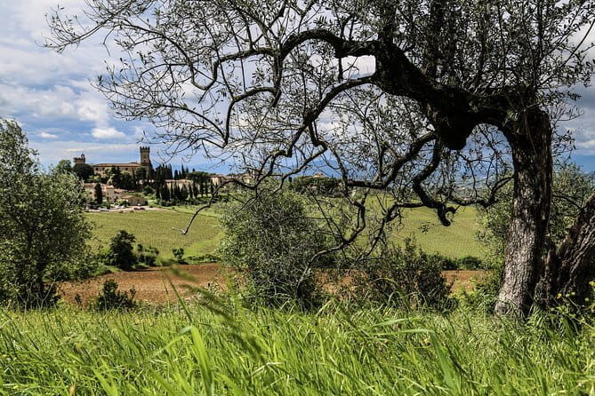 Florence: Day Trip with Free Time in San Gimignano and Siena - FAQs
