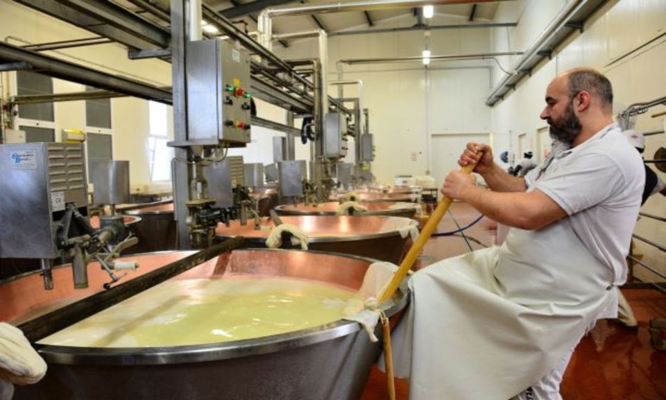 Florence: Emilia-Romagna Small Group Gastronomy Tour - Balsamic Vinegar Production