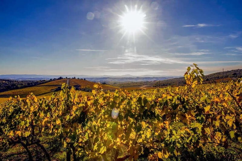 Florence: Explore Chianti by Vintage Car with Wine Tasting - A Scenic and Romantic Introduction to Tuscany