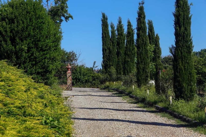 Florence: Explore Chianti by Vintage Car with Wine Tasting - The Sum Up