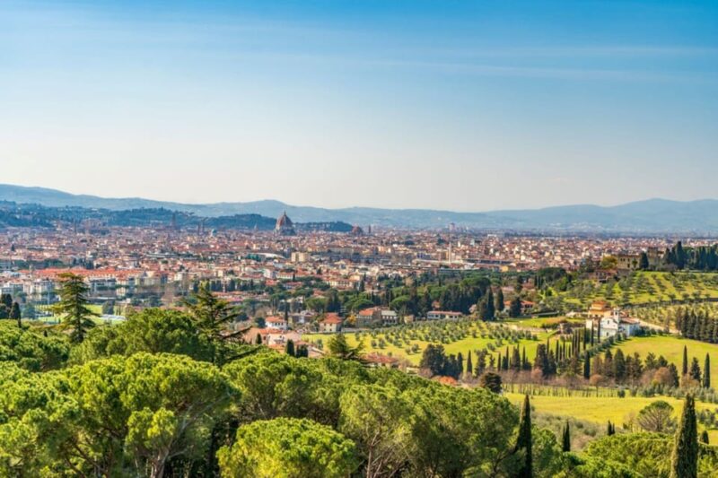 Florence: Fiesole E-Bike Tour With Olive Oil Tasting - Itinerary Details