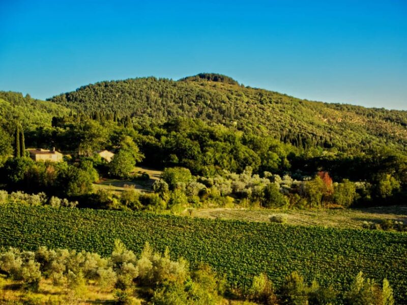 Florence: Fiesole E-Bike Tour With Olive Oil Tasting - E-Bike Experience