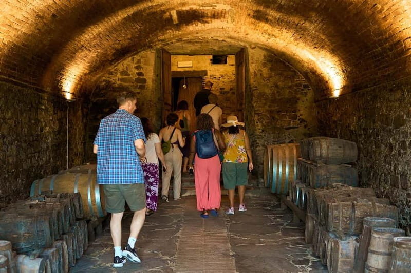 Florence: Great Chianti Wine and Olive Oil Trail with Lunch - FAQ: Quick Questions & Practical Answers