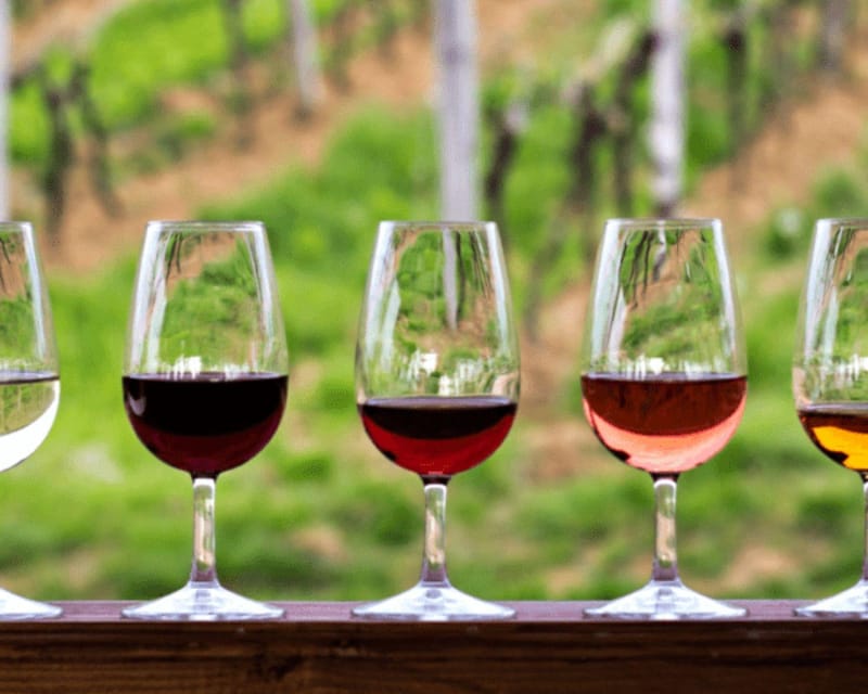 Florence: Half Day Private Tuscany Wine Tour with 2 Wineries - The Sum Up