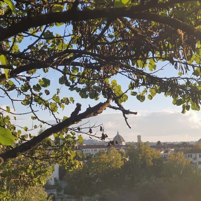 Florence: Hidden Parks Guided Walking Tour with Picnic - Price and Value