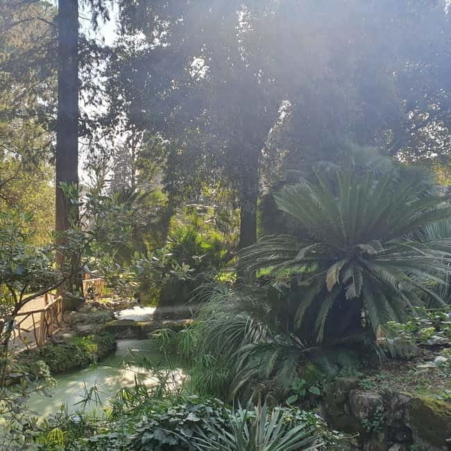 Florence: Hidden Parks Guided Walking Tour with Picnic - Who Will Love This Tour?