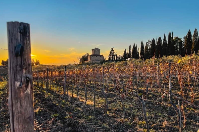 Florence: Hiking Tuscany & Chianti wine 3 wineries and lunch - Key Points