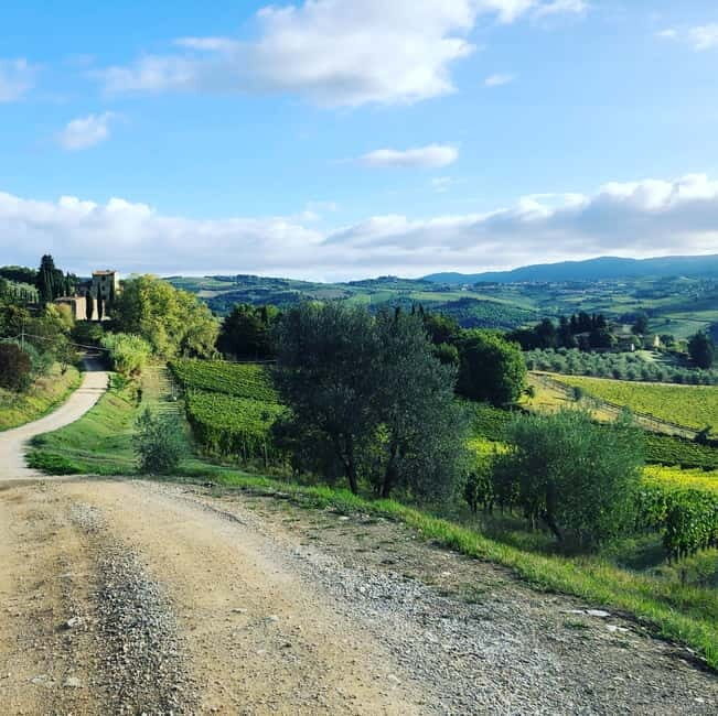 Florence: Hiking Tuscany & Chianti wine 3 wineries and lunch - An Authentic Taste of Tuscany’s Vineyards and Nature  