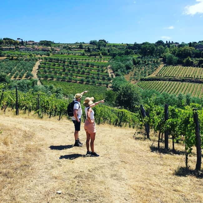 Florence: Hiking Tuscany & Chianti wine 3 wineries and lunch - Practical Details — Comfort, Transportation, and Timing  