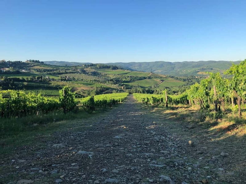 Florence: Hiking Tuscany & Chianti wine 3 wineries and lunch - Authentic Experiences Highlighted in Reviews  
