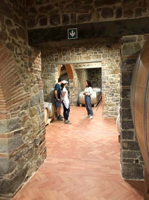 Florence: Hiking Tuscany & Chianti wine 3 wineries and lunch - Who Will Appreciate This Tour?  