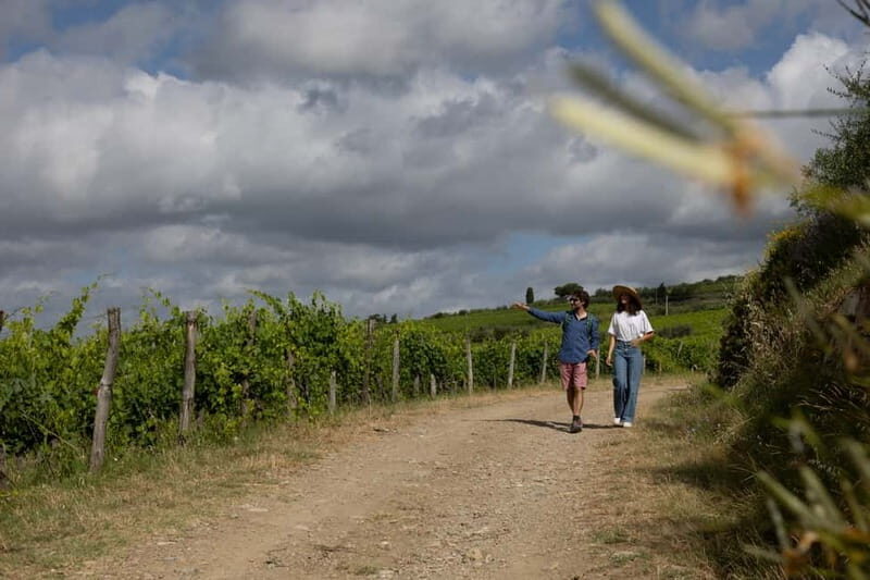 Florence: Hiking Tuscany & Chianti wine 3 wineries and lunch - FAQs