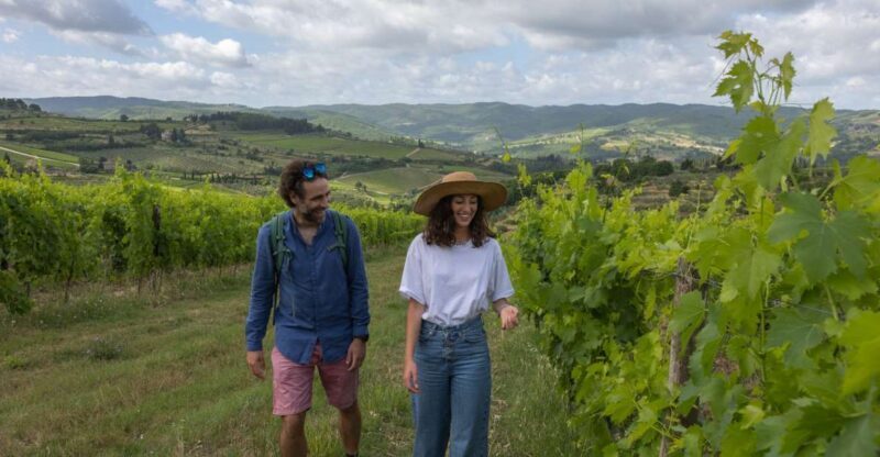 Florence: Hiking Tuscany & Chianti wine 3 wineries and lunch - Key Points