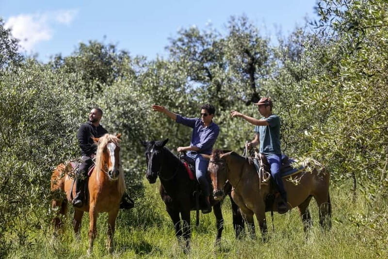 Florence: Horse Ride & Chianti Farm Meal - A Scenic Ride into Tuscany