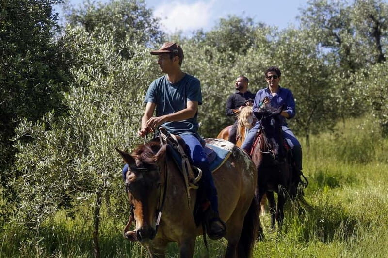 Florence: Horseback Riding & Aperitivo in the Chianti - An In-Depth Look at the Experience