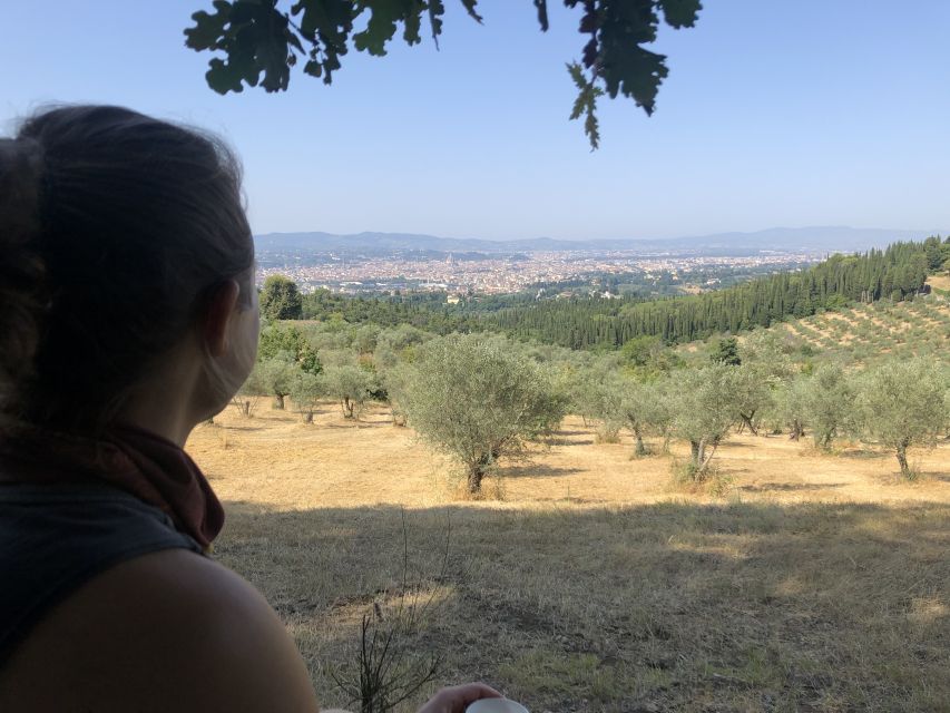 Florence: Local Hiking Tour With Wine and Lunch - Hiking the Monte Ceceri