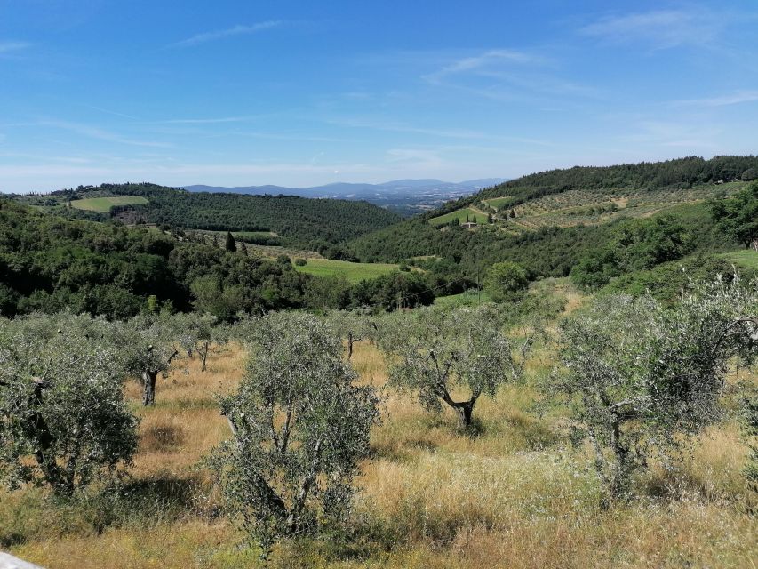Florence: Local Hills E-Bike Tour With Olive Oil Tasting - Participant Requirements