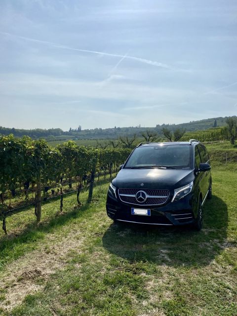 Florence: Montepulciano&Chianti in 1 Day + Lunch & Transfer - Recommendations