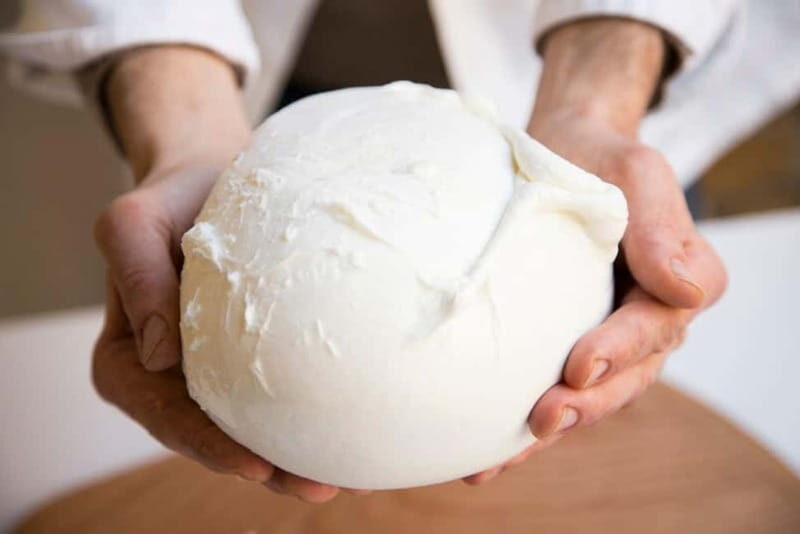 Florence: Mozzarella Making Workshop with Wine Tasting - Authenticity and Atmosphere