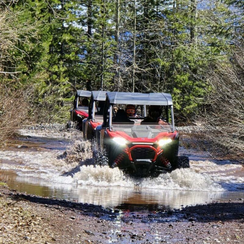 Florence: Oregon Dunes RZR 1000S Rental - Why This Experience Offers Solid Value