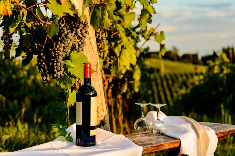 Florence: Private Full Day Tour to Chianti Wine Region - Accessibility and Tour Experience