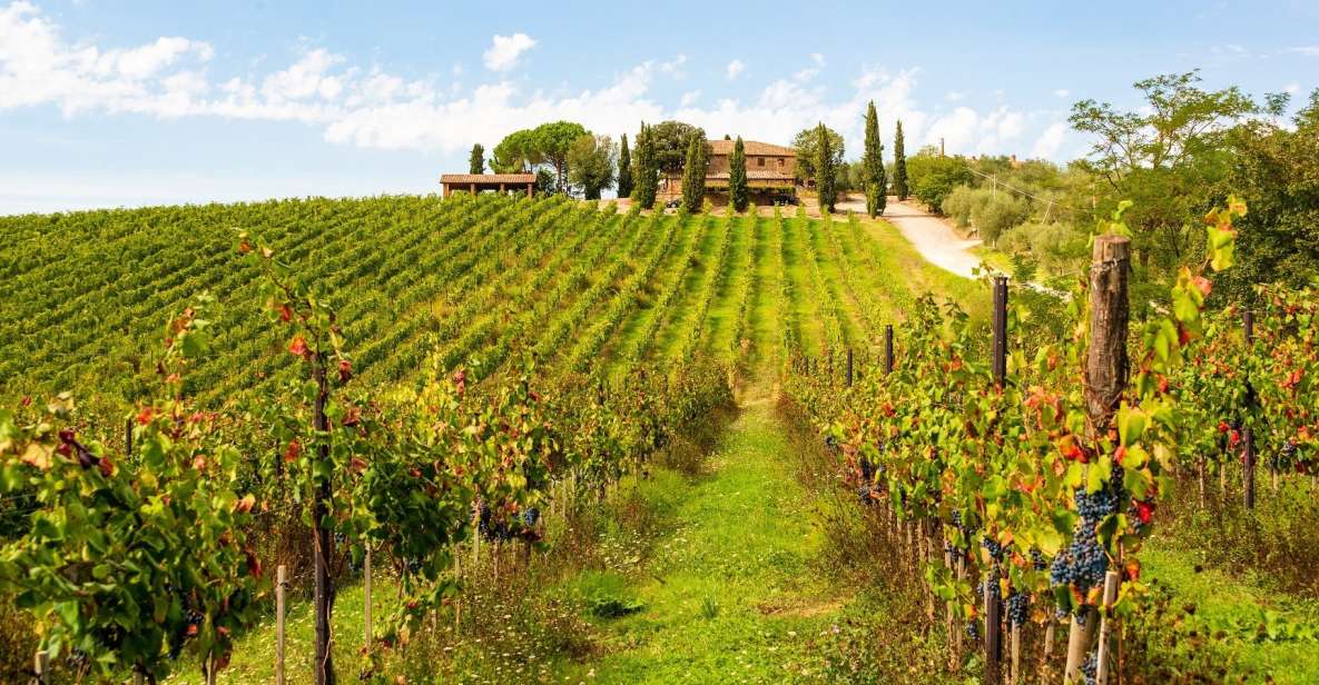 Florence: Private Full Day Tour to Chianti Wine Region - Tour Highlights and Cancellation Policy