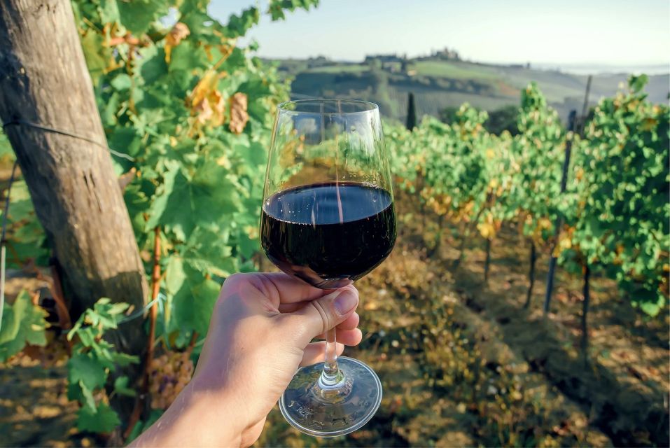 Florence: Private Full Day Tour to Chianti Wine Region - Inclusions and Important Information