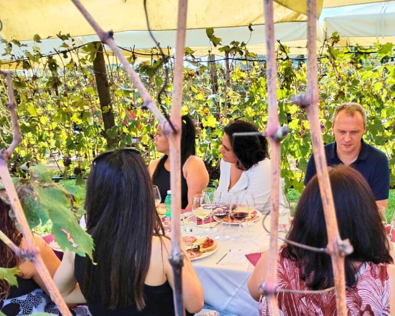 Florence: Private Tuscany Wine Tour with San Gimignano - Key Points