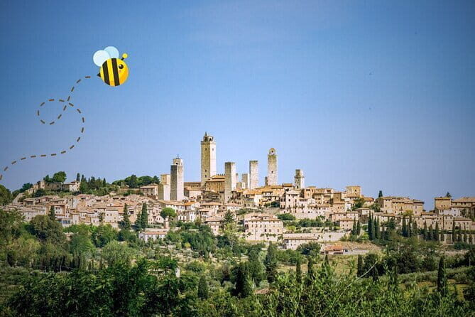 Florence: San Gimignano & Siena Tasting Experience - Practical Details