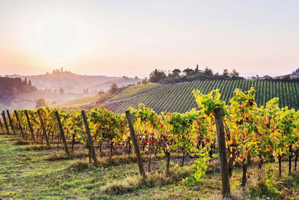 Florence: Siena & San Gimignano Day Trip With Lunch & Wine - Detailed Itinerary