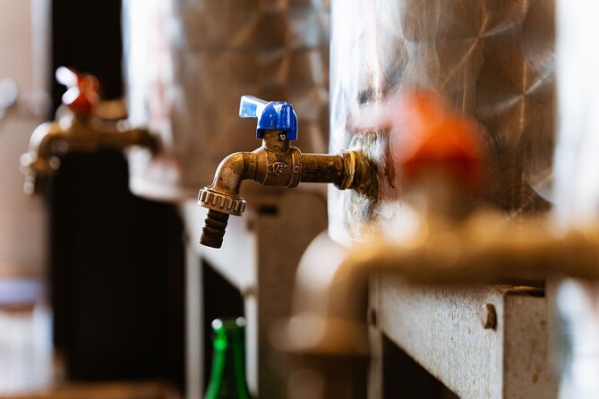 Florence: Tastes & Traditions Food Tour at SantAmbrogio Market - Highlights of the Culinary Journey